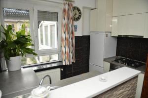 Apartment Ive