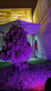 Hotel Villa Capricce