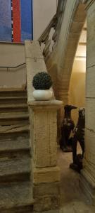 Appartements Appartement centre ville Hotel Particulier : Appartement 1 Chambre