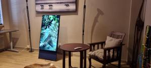 Appartements Appartement centre ville Hotel Particulier : photos des chambres