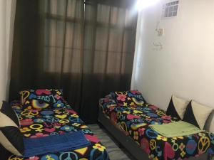 Salvadorondinatelles