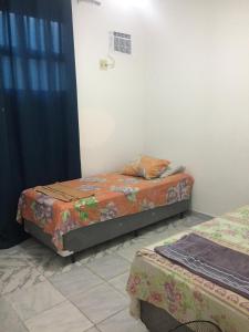 Salvadorondinatelles