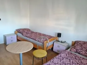 Modern urban loft apartment - 摩拉维采河畔赫拉德茨