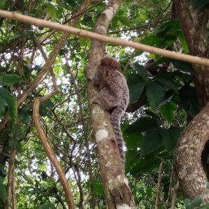 Casa em Florianópolis