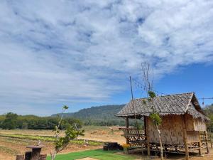 ฟาร์มผัก Thank you