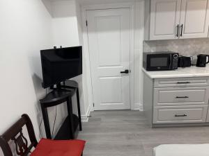 Smart & Cute 1BR Basement Apartment-Milton