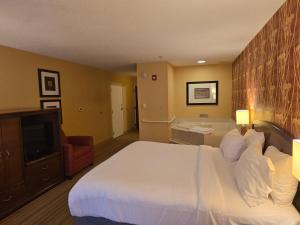 King Room with One King Bed and Whirlpool room in Courtyard Altoona