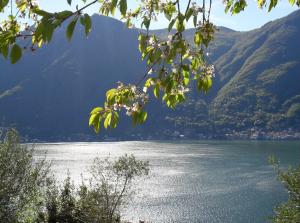 Casa privata con splendida vista lago "Il Gallicantus"