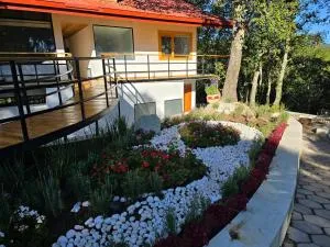 La Cabaña Baño de Bosque - Zinguilucan