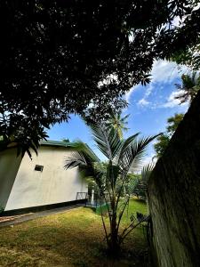 Mango Garden Cottage Tangalle