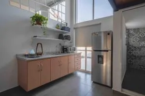 Casa de las Gatas Salvatierra - Salvatierra