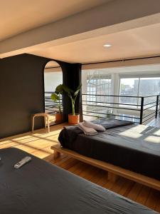 Casa de las Gatas Salvatierra