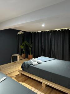 Casa de las Gatas Salvatierra