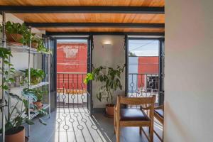 Casa de las Gatas Salvatierra