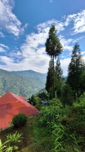 Grace Garden Homestay