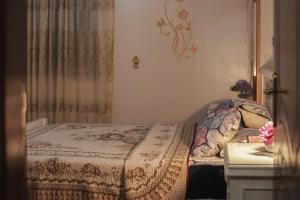 Star House City Stars