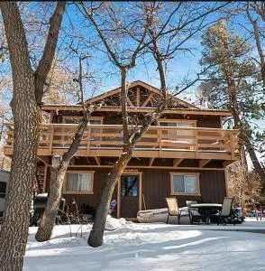 Snow Much Fun - EV-friendly, Ski-In & Ski-Out, Designer Interior, New Host Deal - Forest Falls