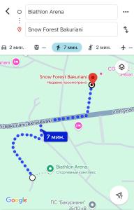 Snow Forest Bakuriani Apartment 10