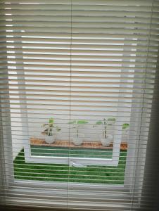 Albirru homestay syariah