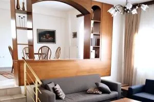 Beautiful and homely apartment - 科扎尼
