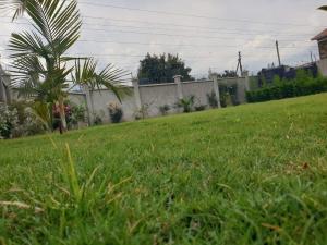 The Golden Enclave Nakuru Fully Furnished Apartments