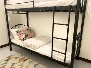 pine and bark - Camp Seven