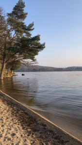 Chalets Chalet Serenite : photos des chambres