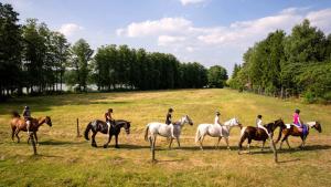 Sasek Mały # Pensjonat # Jazdy Konne