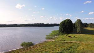 Sasek Mały # Pensjonat # Jazdy Konne