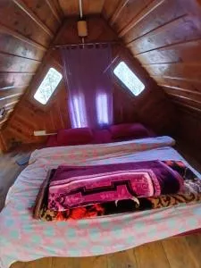 Swiss cottage - Sundarnagar