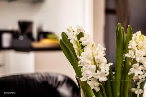 6 Zimmer 130 m2 Wundervoll sanierte Wohnung zentral ruhig hochwertig