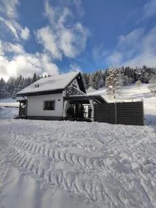 Leśny Zaułek - Powrożnik