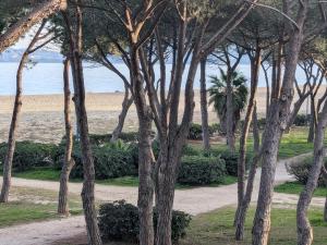 TRESOR LITTORAL, belle vue direct plage