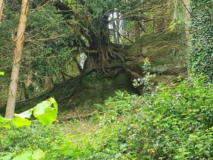 Clairville Apartment - Garden Terrace, Central Ross-on-Wye