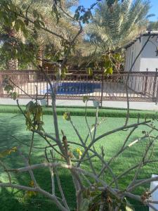 Dar Al Hamra Rest إستراحة دار الحمراء