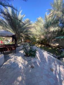 Dar Al Hamra Rest إستراحة دار الحمراء