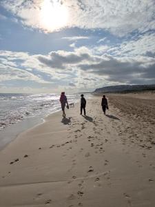 Mediterranean House (Beach & Relax)