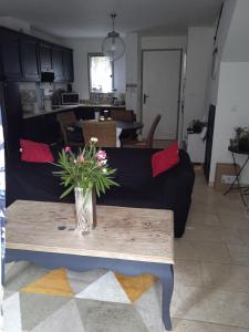 Villas Maison T3 avec spa : photos des chambres
