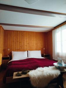 Sonnenhof - Wengens Original Kurhaus