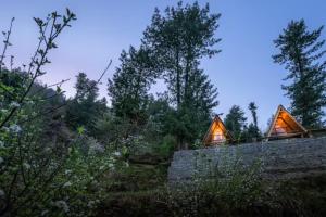 Vibrant A-Frame In The Valley By Bastiat Stays