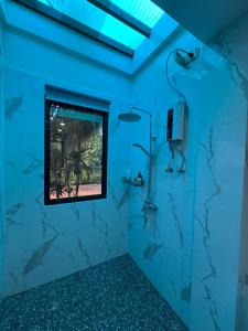 Tropical Palms Villa and Beachfront Resort