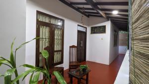 Mango tree view holiday house