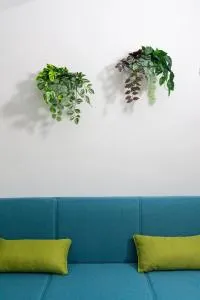 Very central - 阿尔塔穆拉