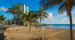 CHARCO de SAN GINÉS APARTMENT - 阿雷西费