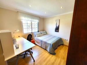 Premium Málaga Centro