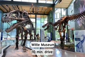 Relaxing 2BR-Southtown Near Rvrwalk, Dome & Conv