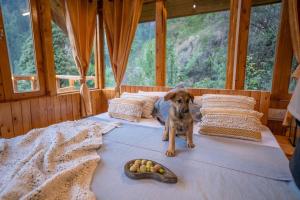 Magnificent Treehouse Valley View By Bastiat Stays