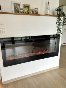 2602 - Strandwiese 18