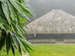 Bamboo Grove - Mānantoddy