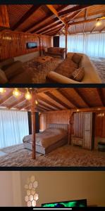 Daily concept residance